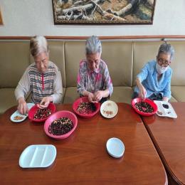 26년1월 손끝으로 느끼는 즐거움, 일요일 콩고르기 활동